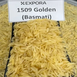 Basmati Rice